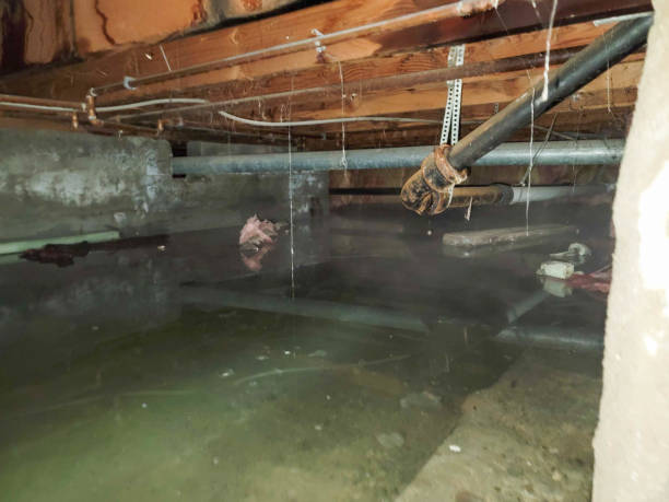 Best Local water damage restoration  in East Greenville, PA