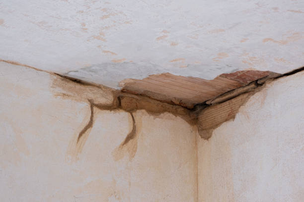 Best Professional water damage repair  in East Greenville, PA