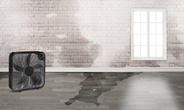 Best Water damage contractors near me  in East Greenville, PA