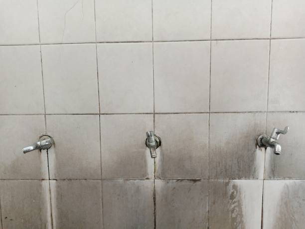 Best Water damage restoration cost  in East Greenville, PA