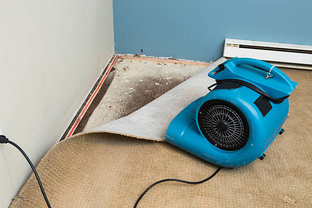Best Carpet water damage restoration  in East Greenville, PA